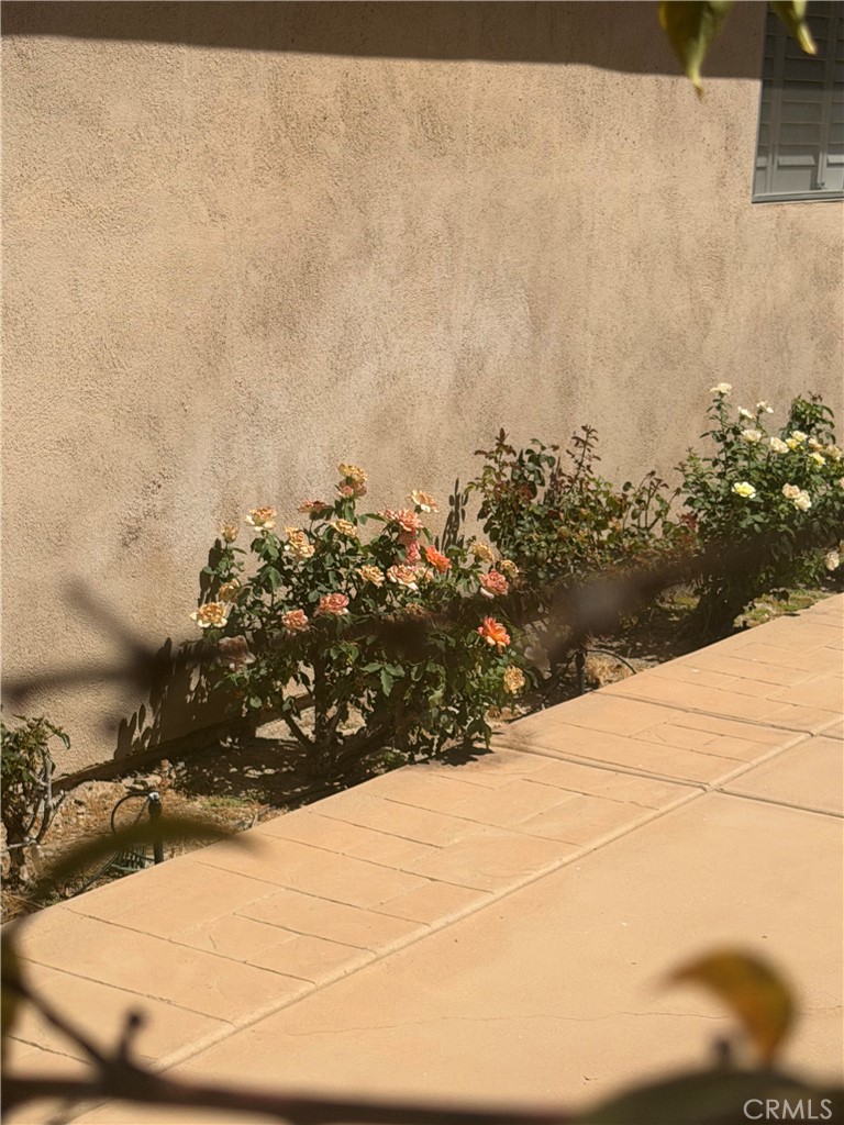 25453 Via Novia Property Photo 53