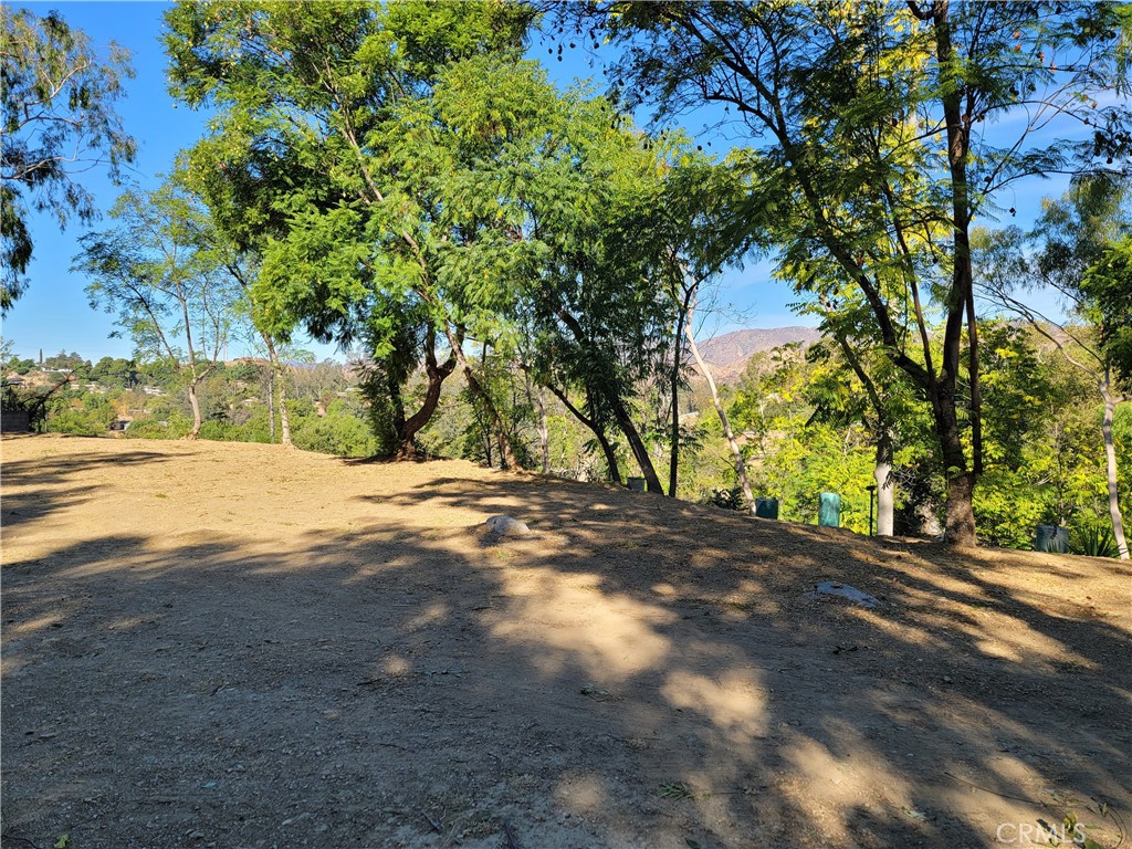 10198 La Canada Way Property Photo 8