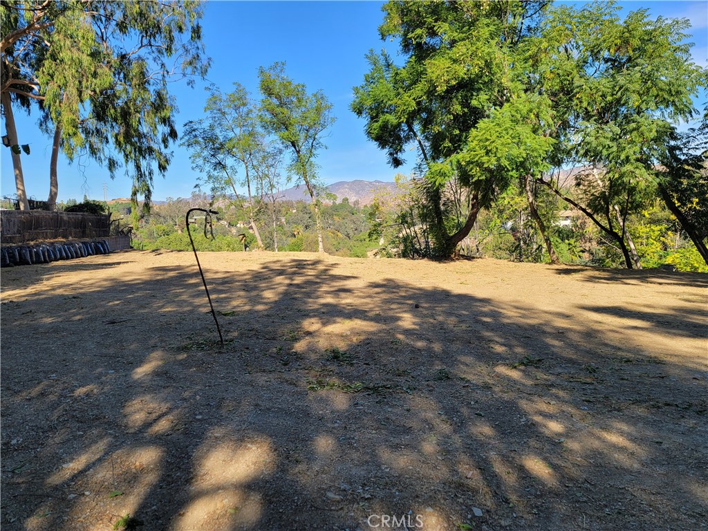 10198 La Canada Way Property Photo 10