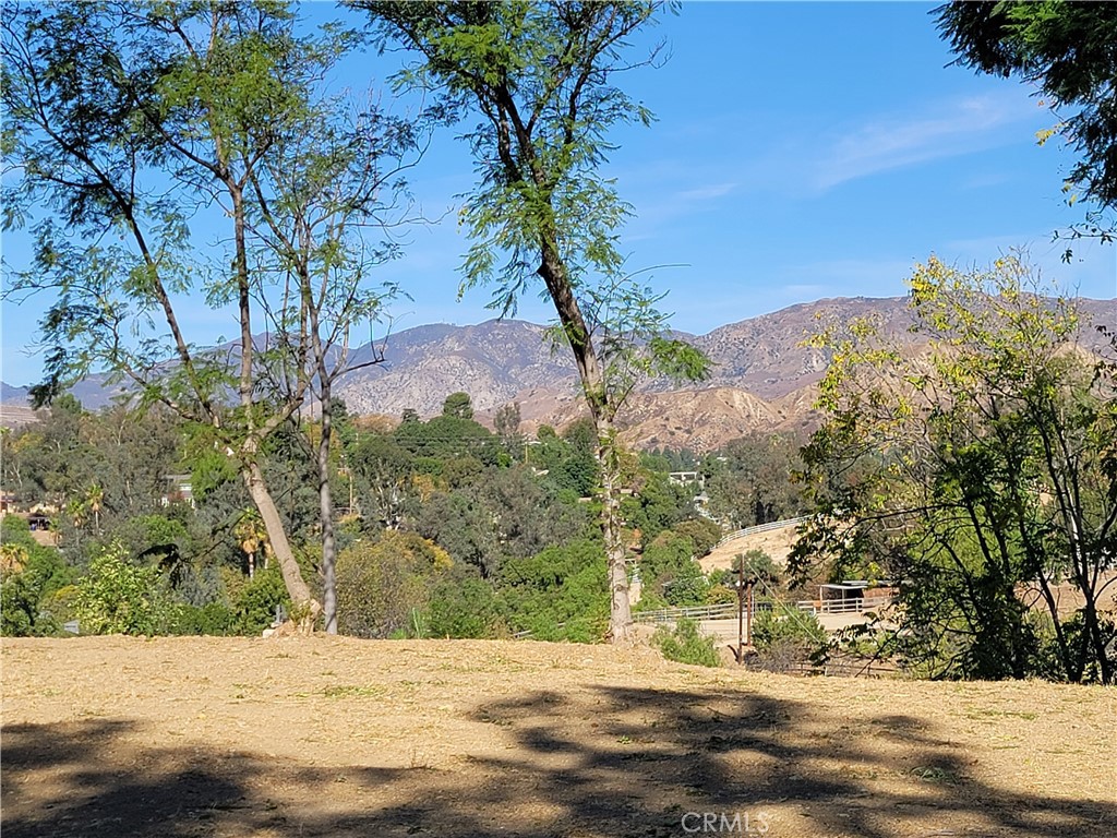 10198 La Canada Way Property Photo 12
