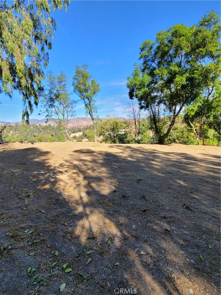 10198 La Canada Way Property Photo 13