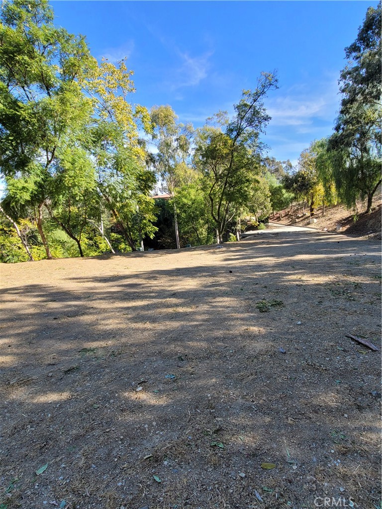 10198 La Canada Way Property Photo 14