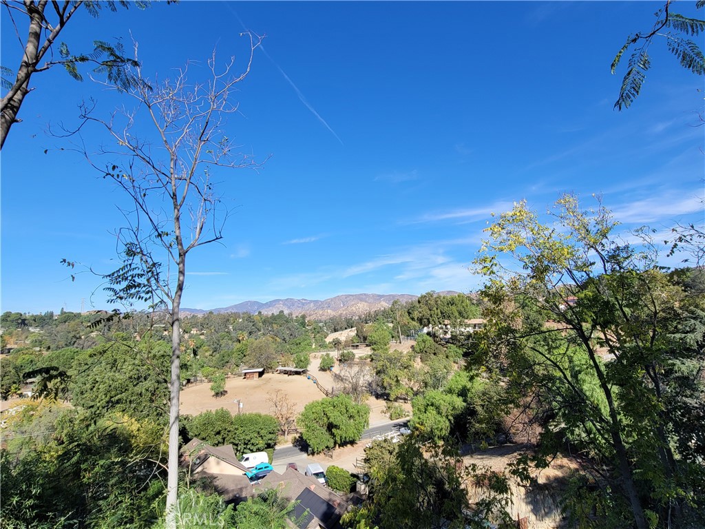 10198 La Canada Way Property Photo 15