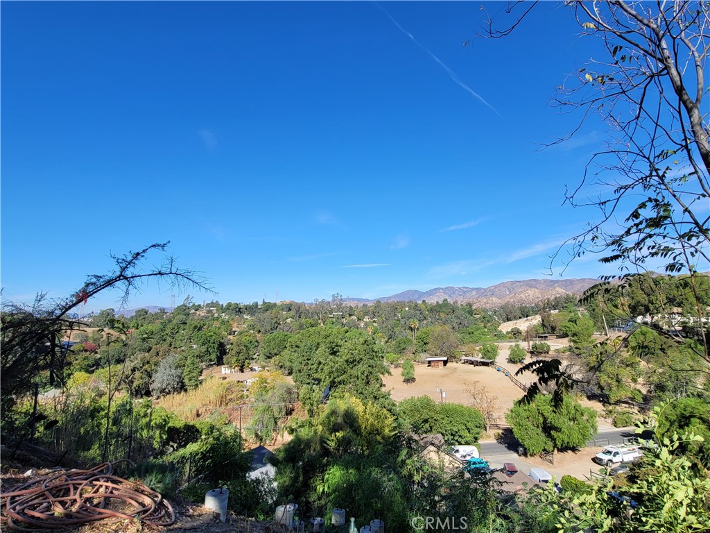 10198 La Canada Way Property Photo 16