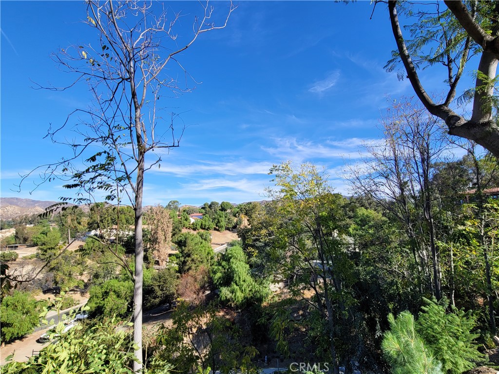 10198 La Canada Way Property Photo 17