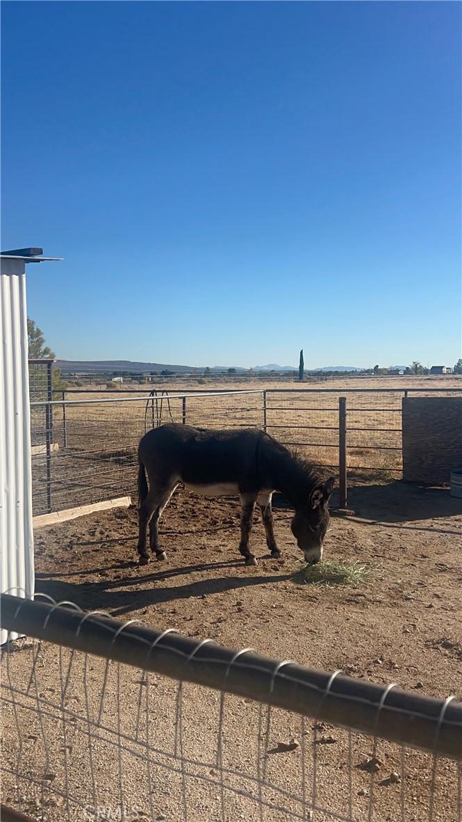 50008 Three Points Property Photo 41