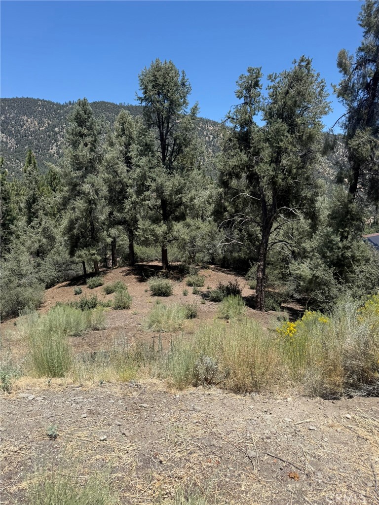 2424 Cedarwood Property Photo 1