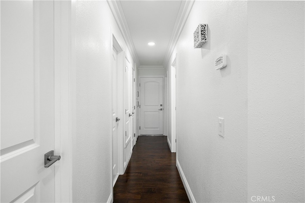 3004 Cardamon Property Photo 29