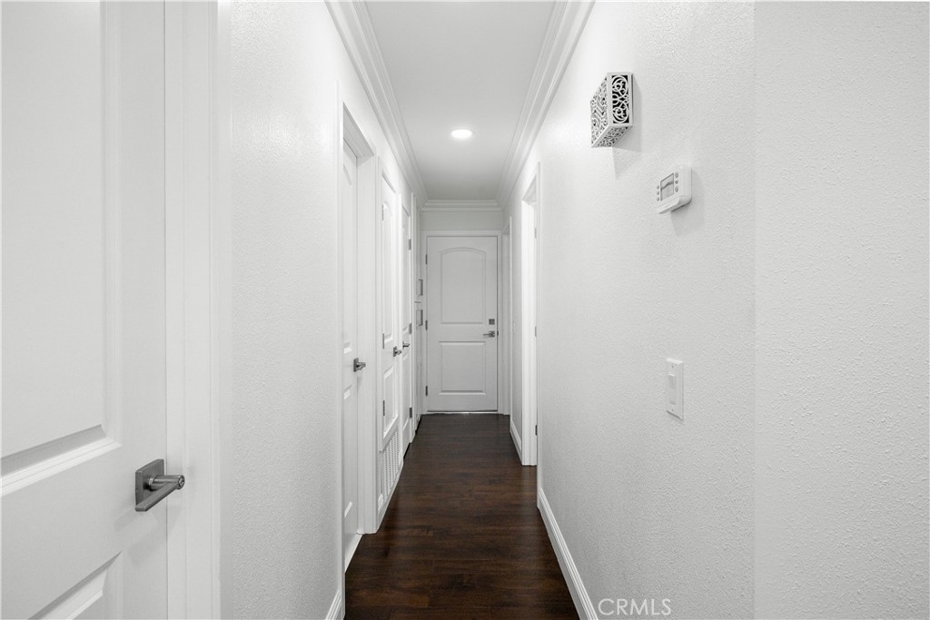 3004 Cardamon Property Photo 29