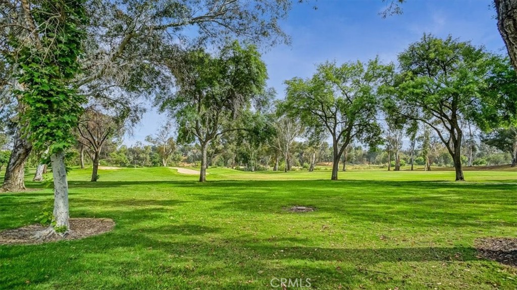 25716 Player T6 Property Photo 20