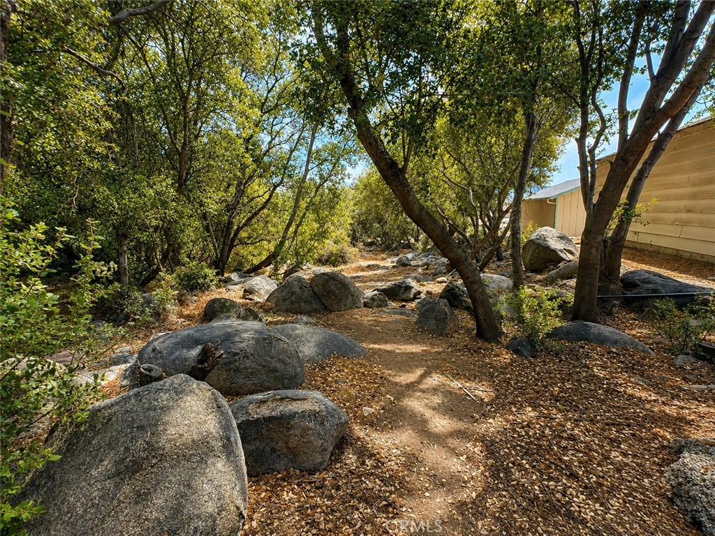 36 Bristlecone Drive Property Photo 5
