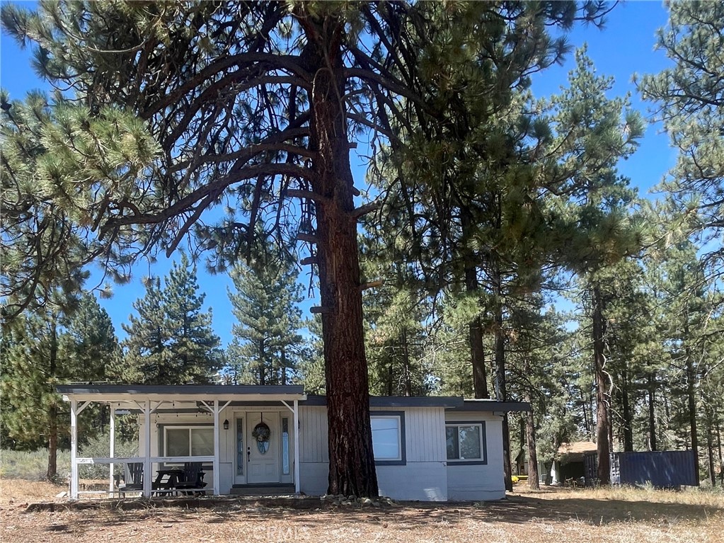 1753 Pineridge Property Photo 25