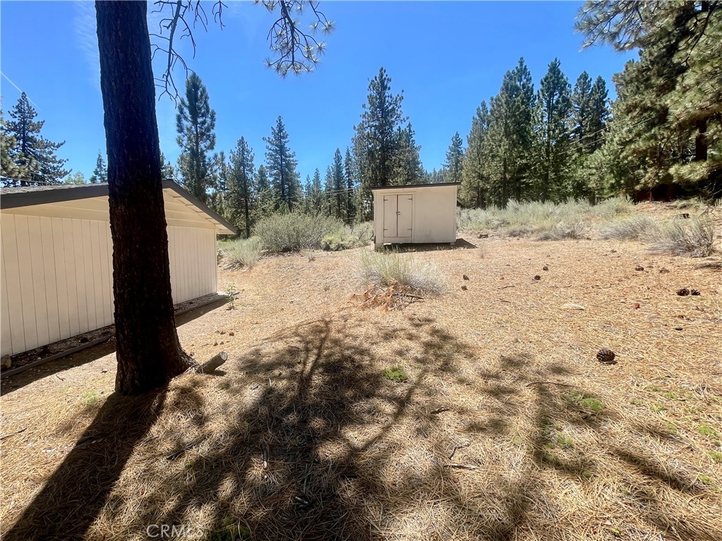 1753 Pineridge Property Photo 28