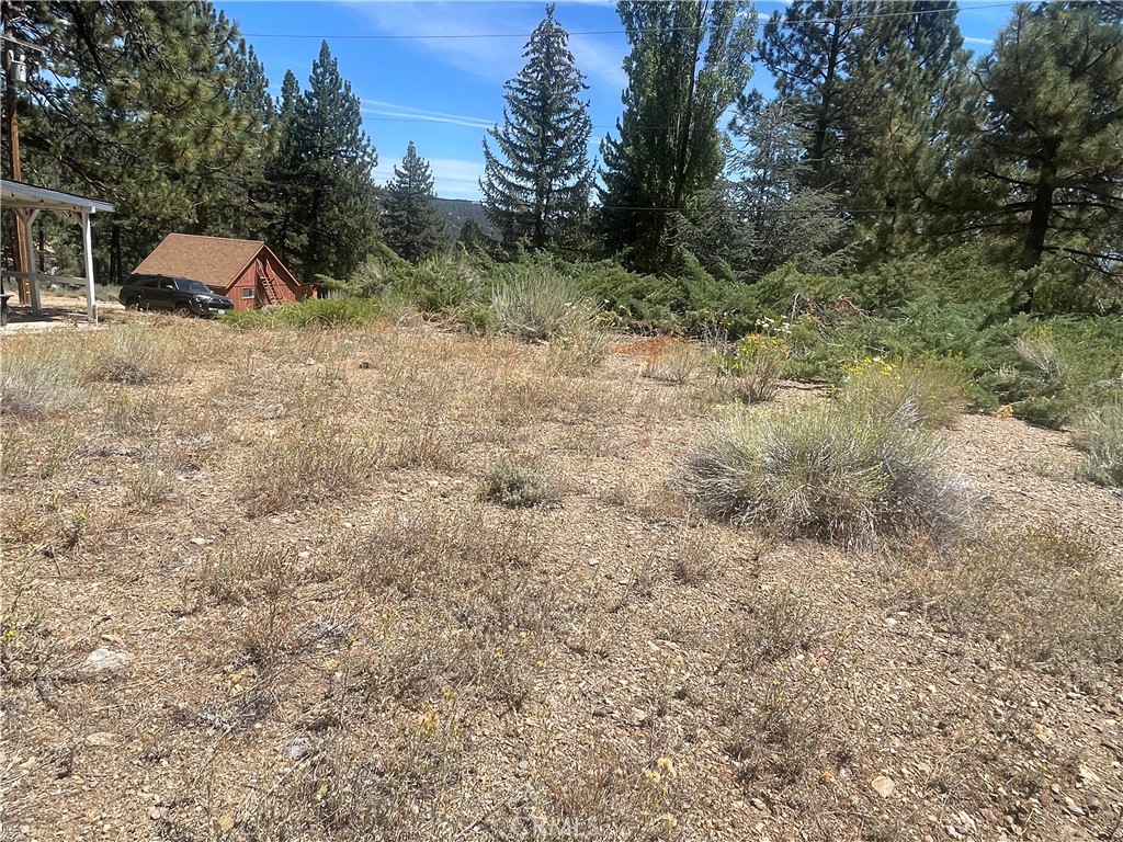 1753 Pineridge Property Photo 31