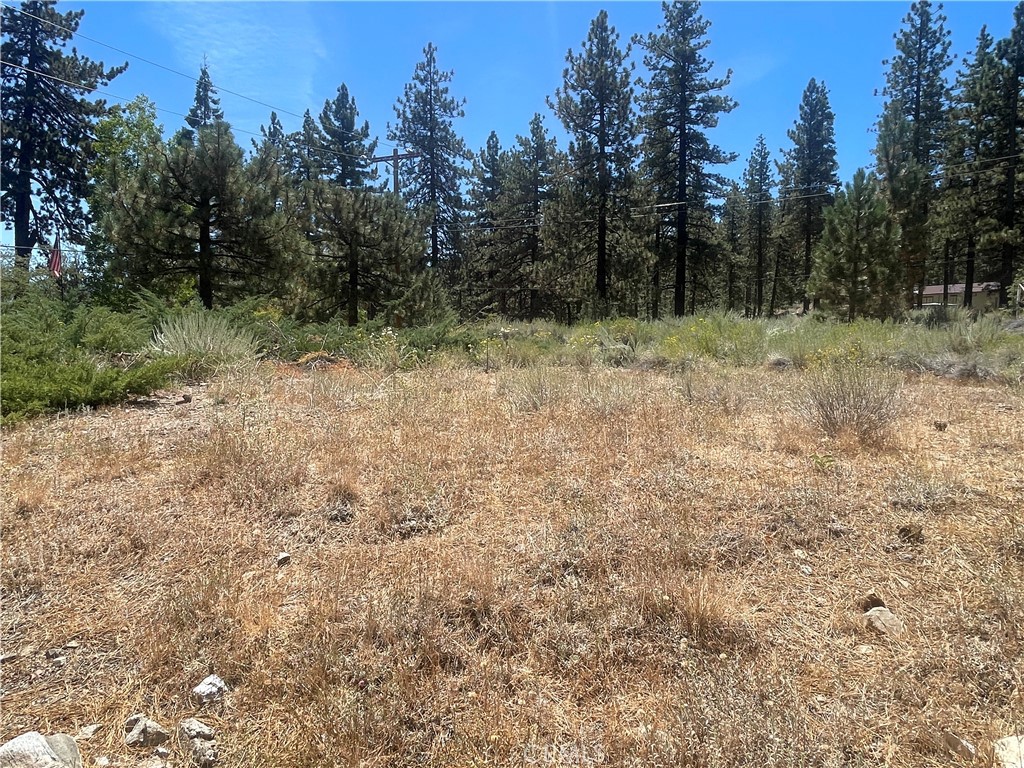1753 Pineridge Property Photo 32