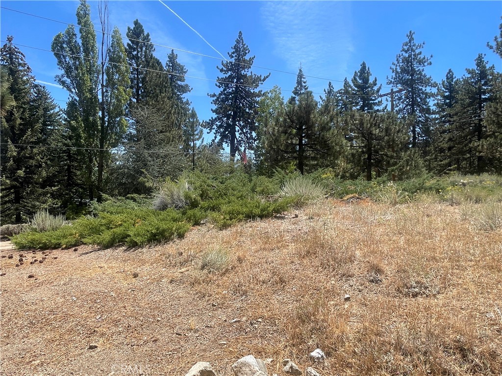 1753 Pineridge Property Photo 33