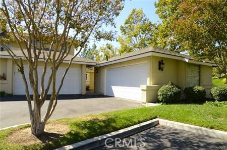 22919 Banyan Property Photo 2