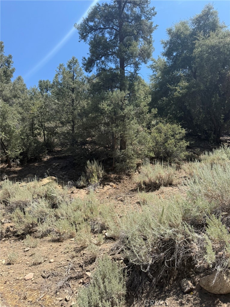 1912 Symonds Property Photo 3