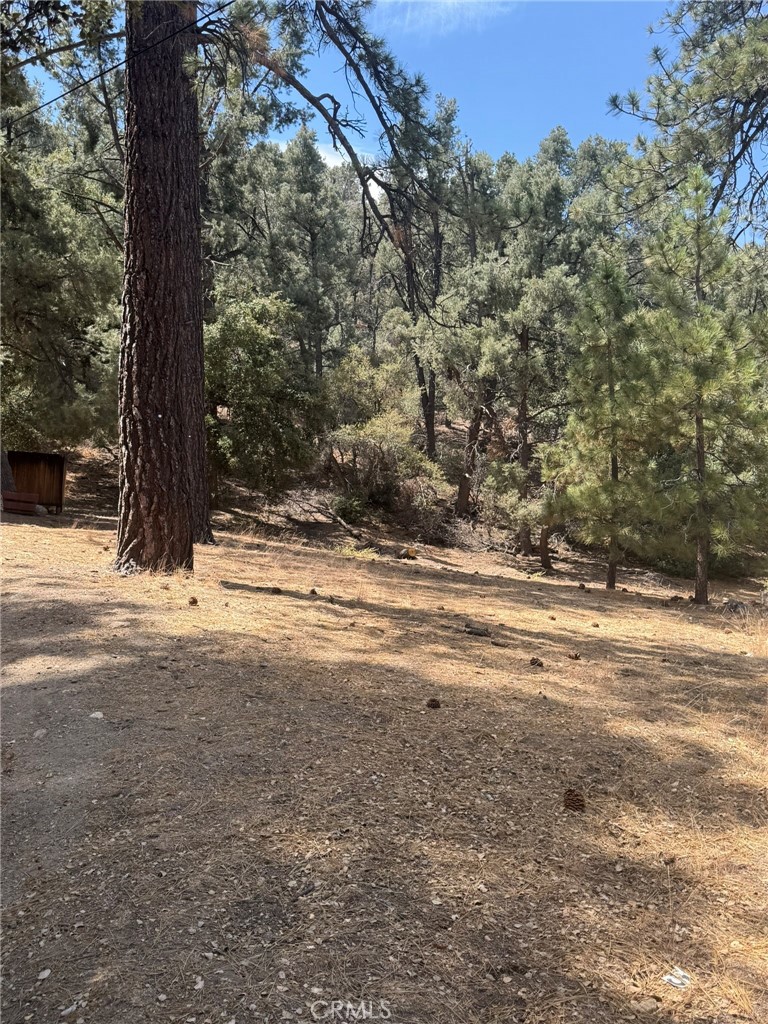 2019 Freeman Property Photo 1