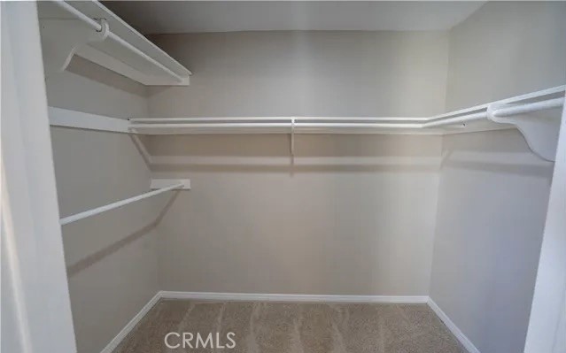 24219 La Glorita Property Photo 11