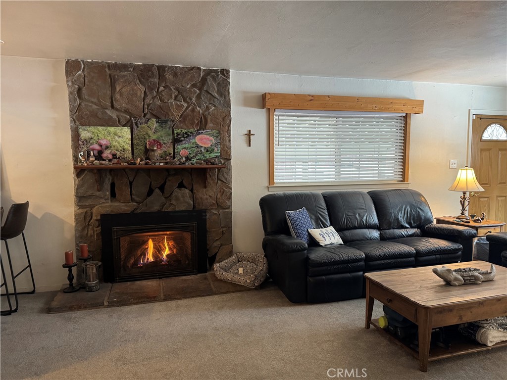 1131 Dedi Property Photo 7
