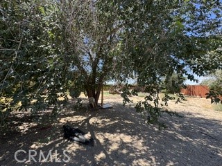 40915 161st E Property Photo 5