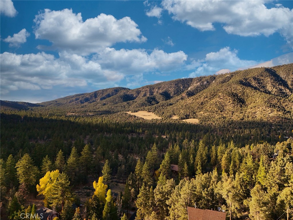 16717 Quail Property Photo 3