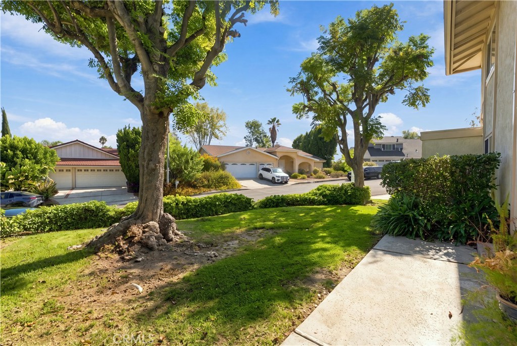 23633 Del Cerro Circle Property Photo 5