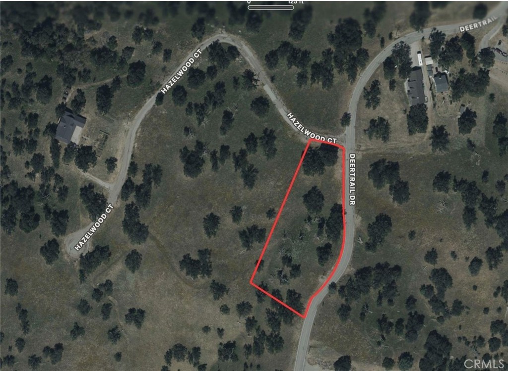 26201 Hazelwood Court Property Photo 2