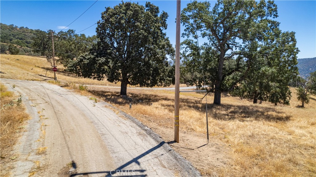 26201 Hazelwood Court Property Photo 7