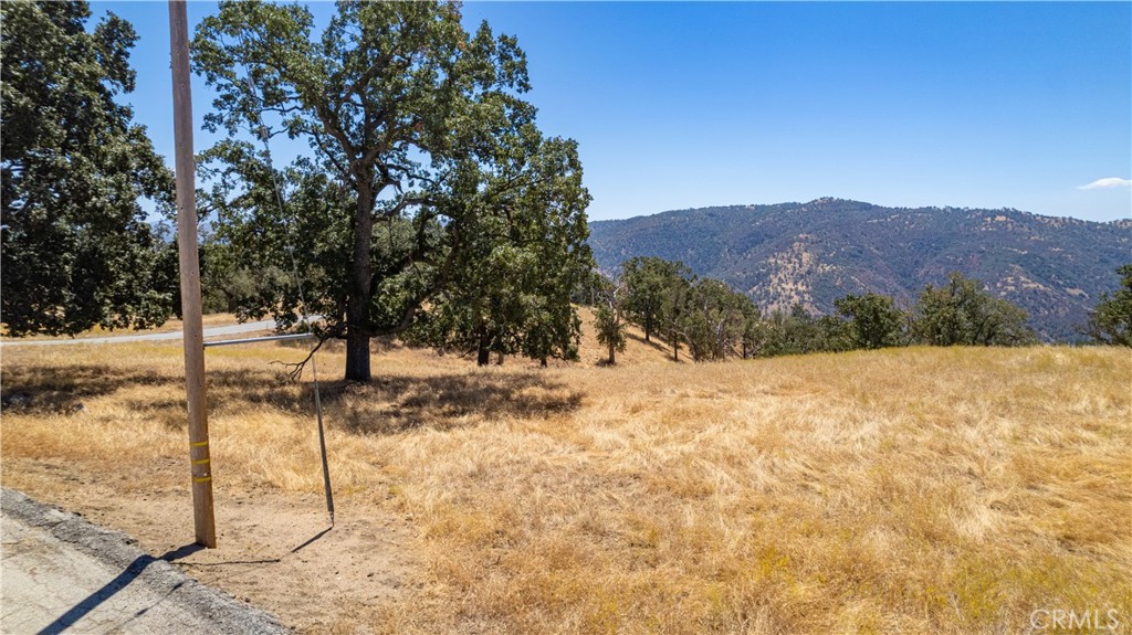 26201 Hazelwood Court Property Photo 8