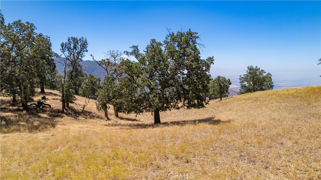 26201 Hazelwood Court Property Photo 10