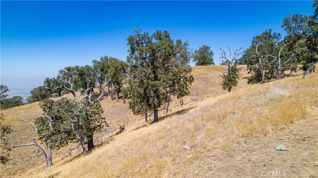 26201 Hazelwood Court Property Photo 12