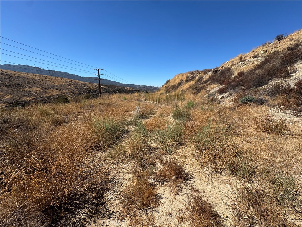 0 Golden Valley & Sierra Hwy Property Photo 2