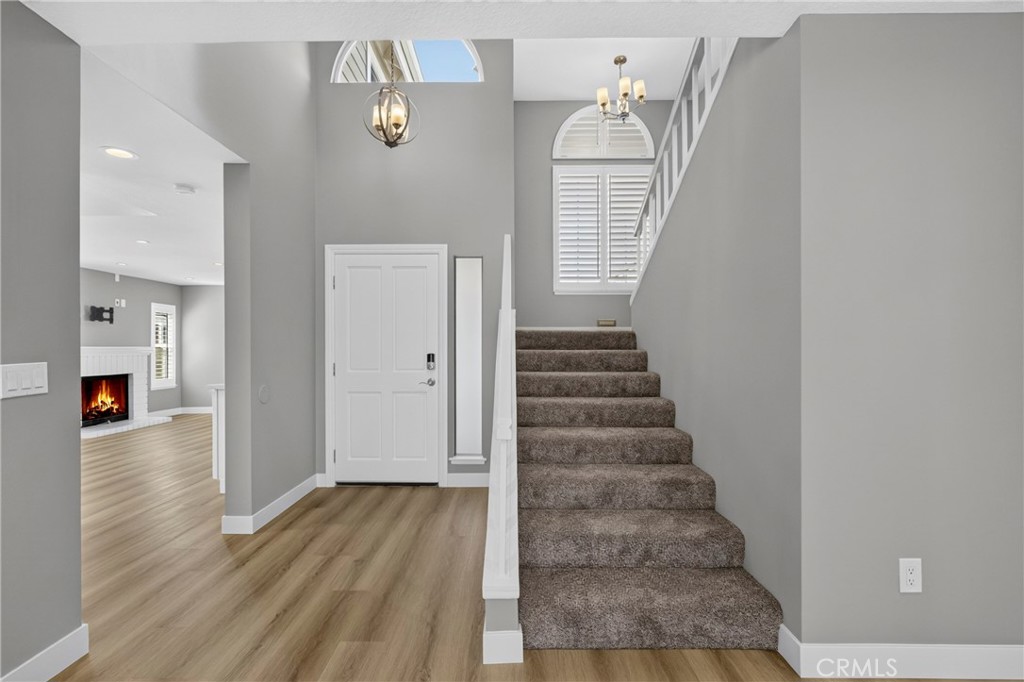 25906 Bellis Drive Property Photo 17