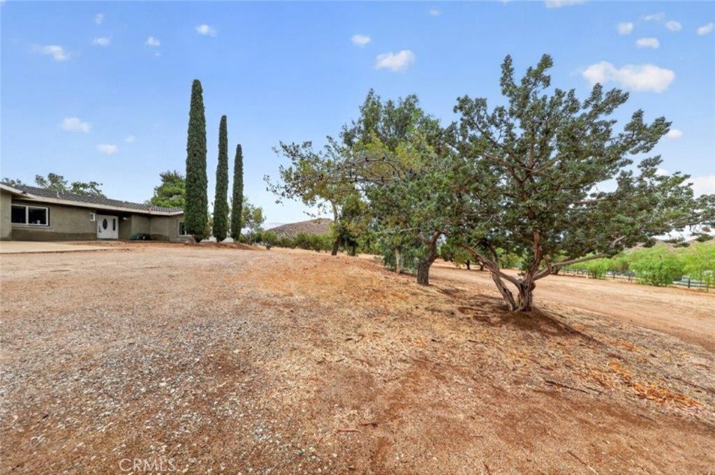 34716 Violan Street Property Photo 50