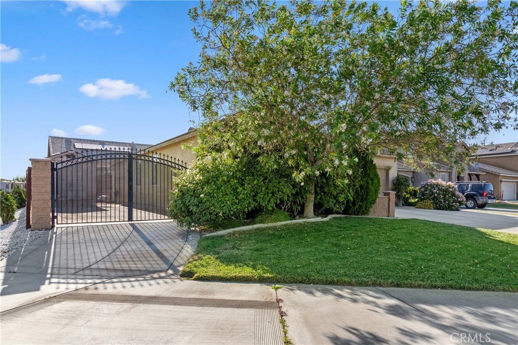 2263 Buss Court Property Photo 3