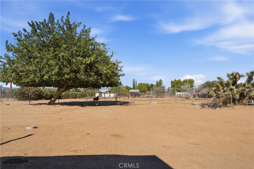 43107 43rd W Property Photo 7