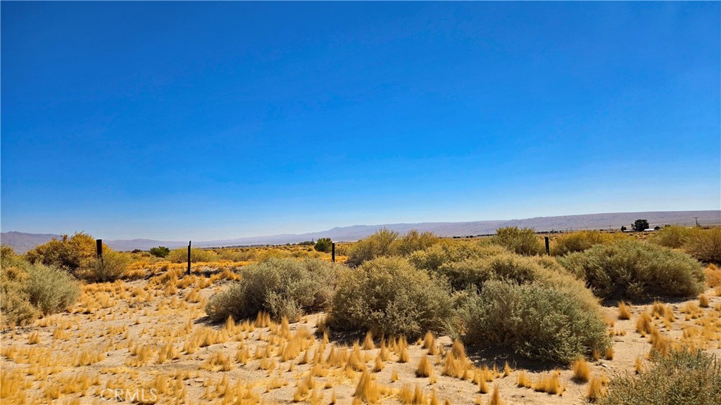 0 Cholla Rd Near Munsey Rd Property Photo 8