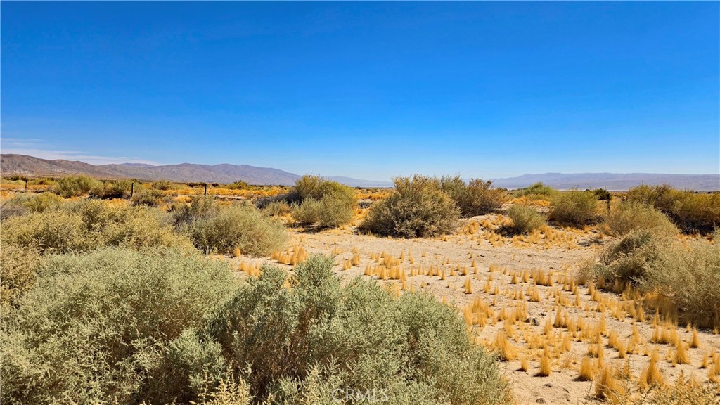 0 Cholla Rd Near Munsey Rd Property Photo 11