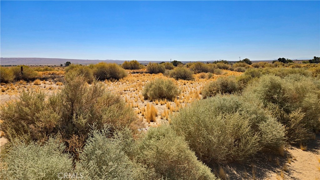 0 Cholla Rd Near Munsey Rd Property Photo 13