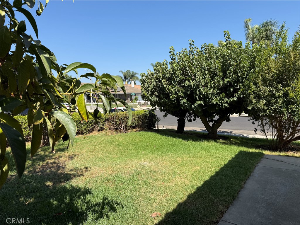 13114 Inglewood Property Photo 20