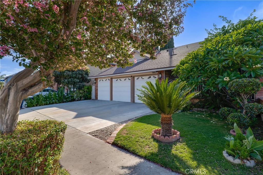 7907 Casaba Property Photo 2