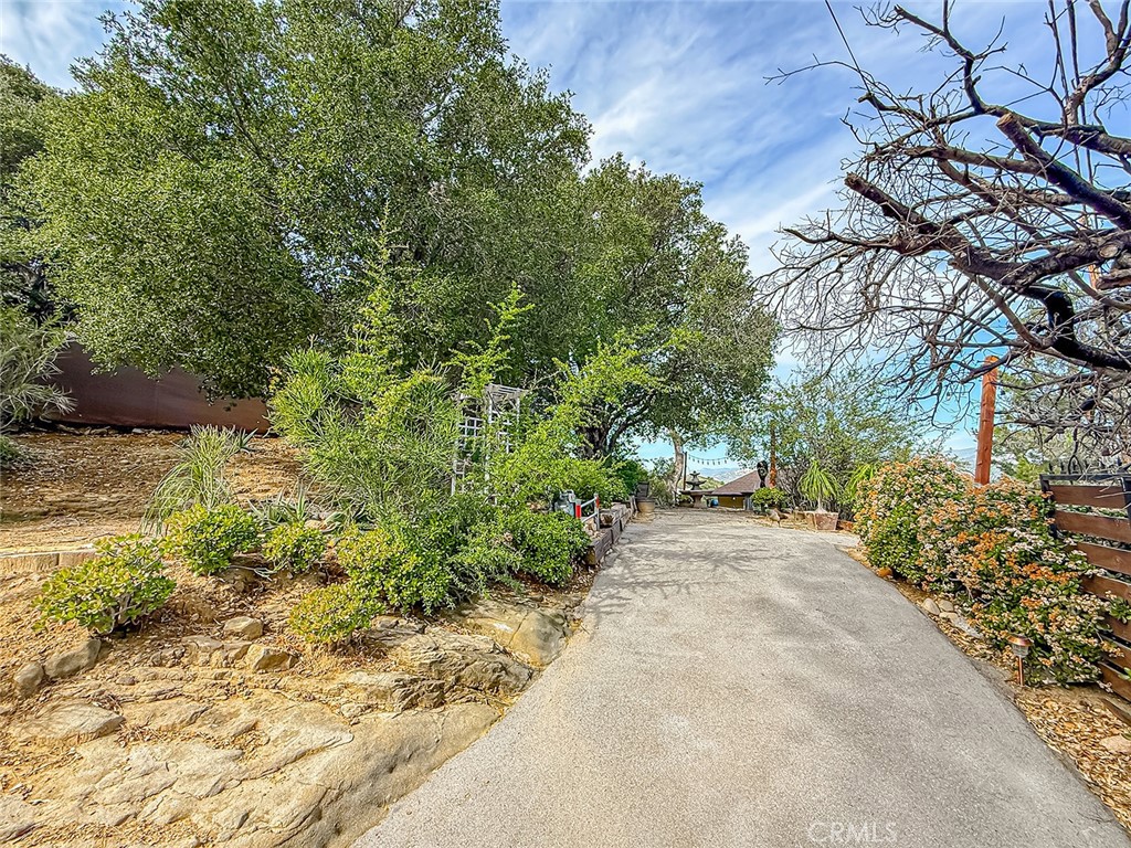 1059 Alta Vista Property Photo 21