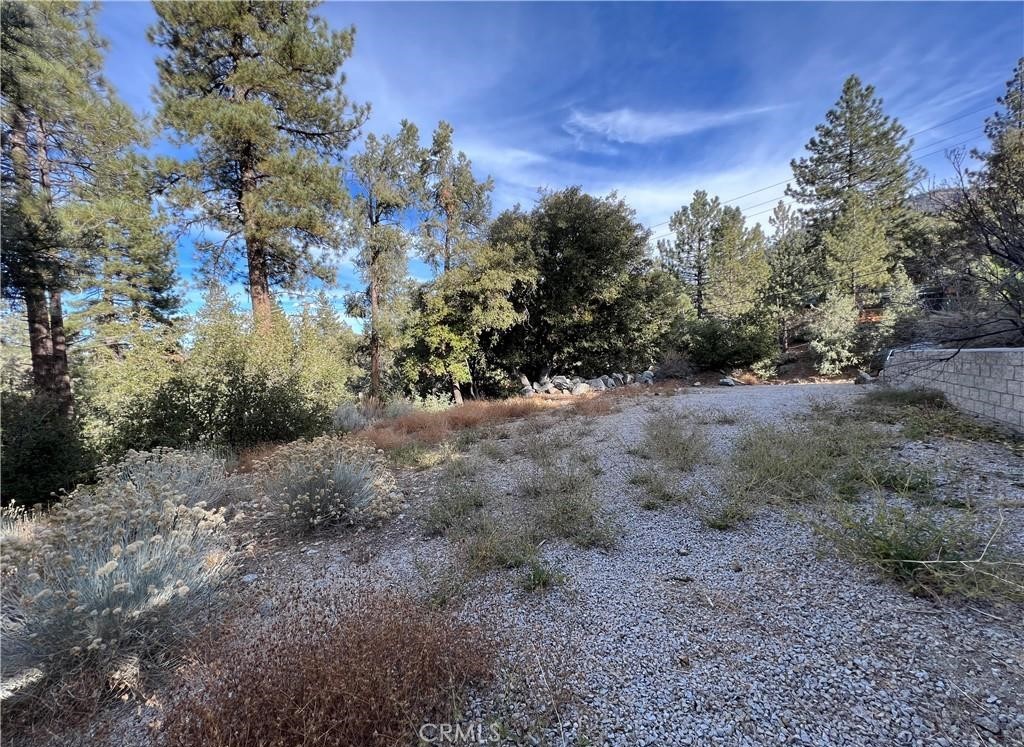 1825 Bernina Drive Property Photo 2