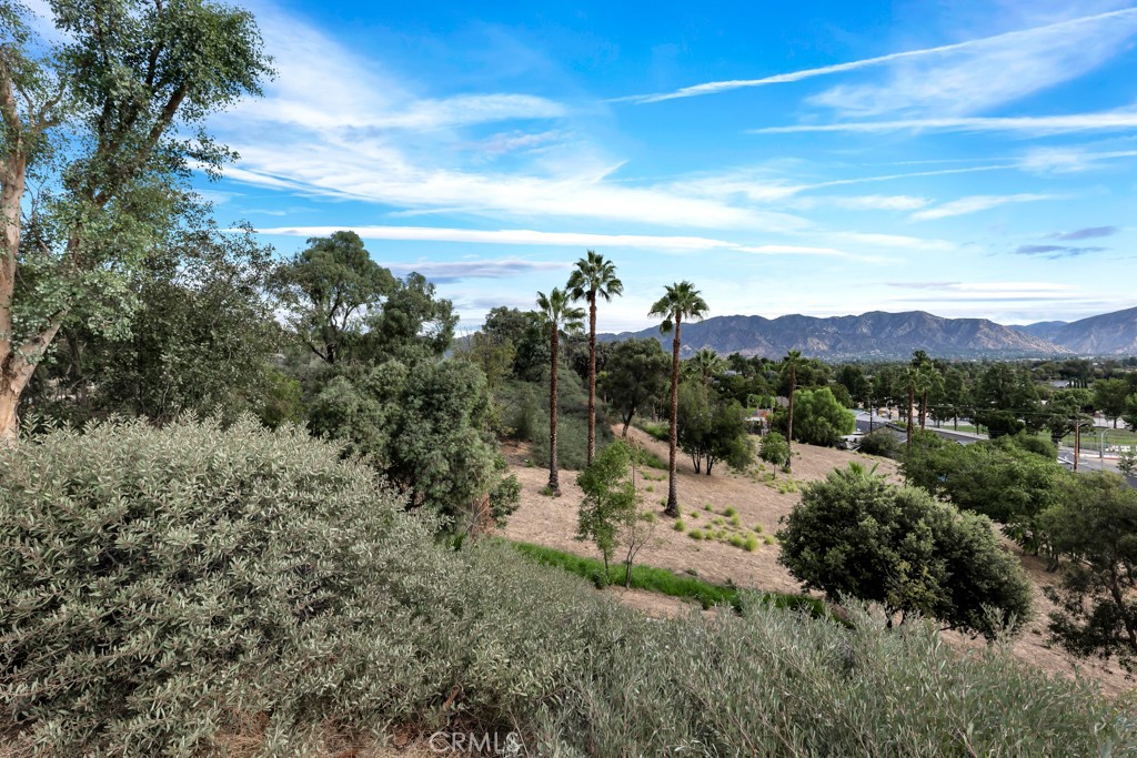 11954 Edgecliff Avenue Property Photo 38