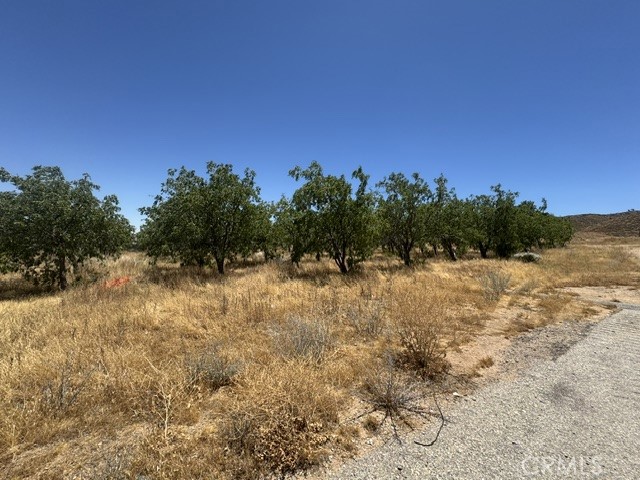 48245 235th W Property Photo 49