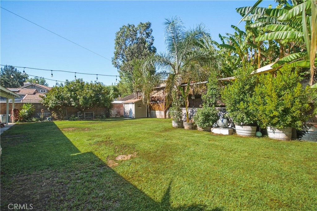 29403 Poppy Meadow Street Property Photo 40