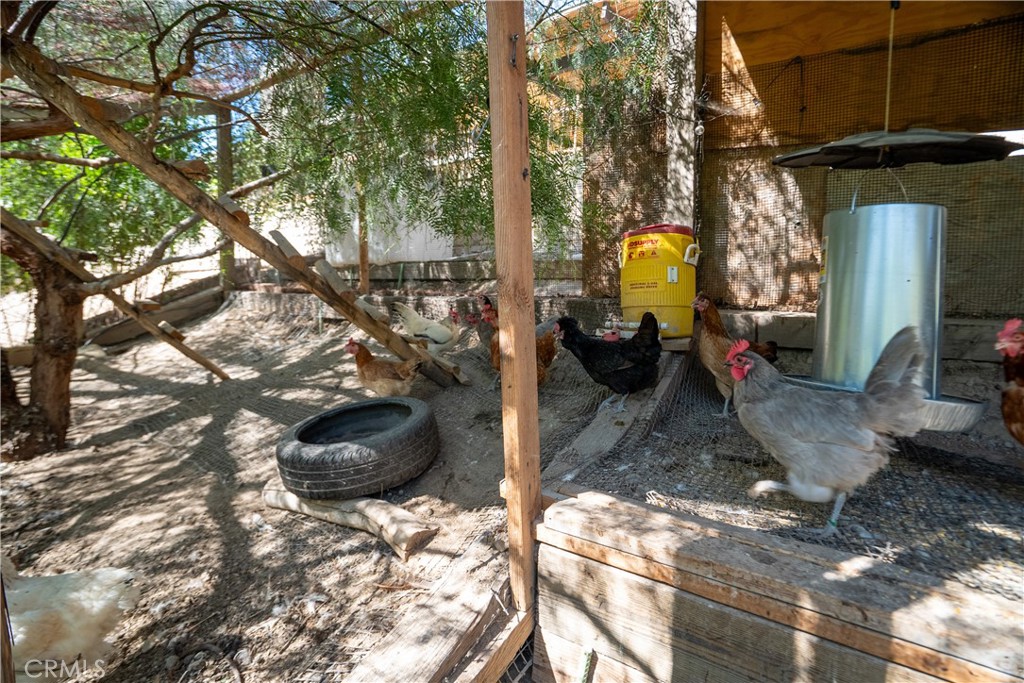 29403 Poppy Meadow Street Property Photo 53