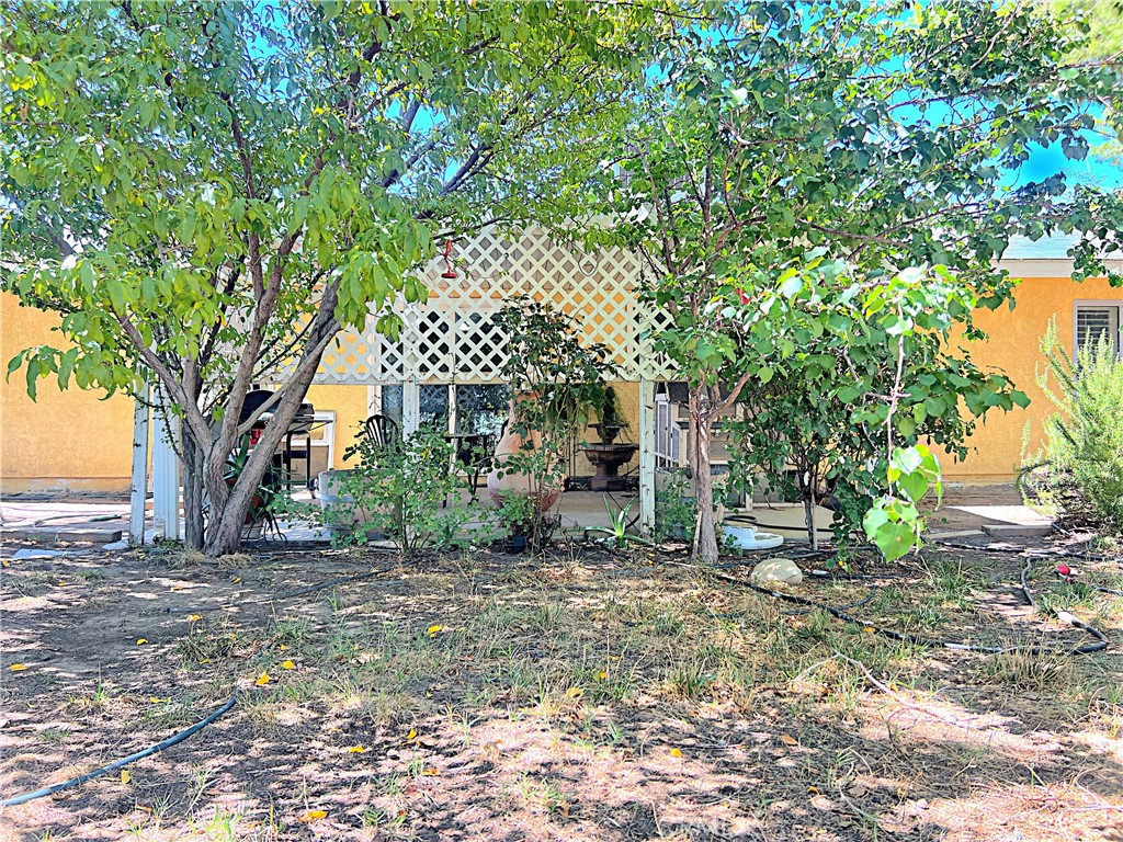 38510 159th E Property Photo 24